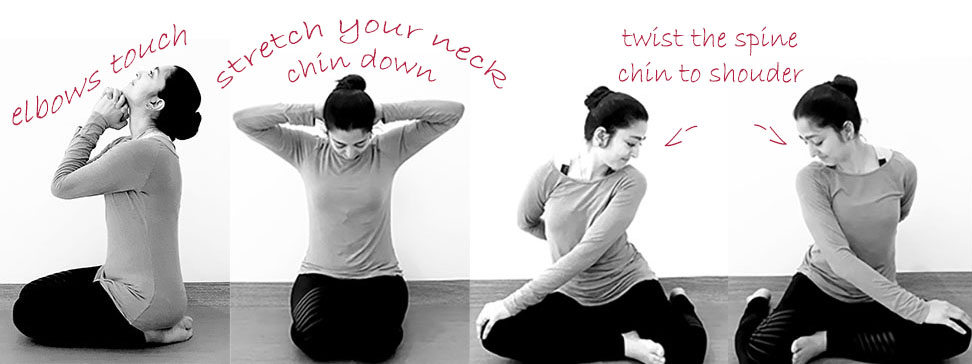 Neck Stretches